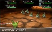 ポケモンxy ドーピングアイテムを使っても効果がないとでました もう Yahoo 知恵袋