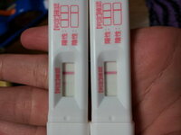 高温期10日目 陰性 妊娠の可能性