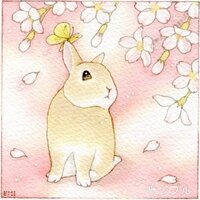 もしウサギの爪がとれたり 抜けてしまったりしてこれが自然に起こったこと Yahoo 知恵袋