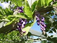 群馬県の多々良沼でのバス釣り ボートをレンタル出来ると聞いたの Yahoo 知恵袋