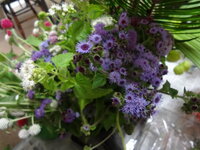 英語に関する質問があります 家の庭でかわいい花が咲きました Yahoo 知恵袋