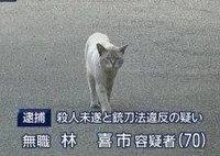 ポケモンソードに関しての質問です ニダンギルをギルガルドに進化 Yahoo 知恵袋