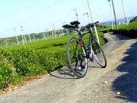 ロードバイクで登坂時に握る センターバーのようなものを探しています Yahoo 知恵袋