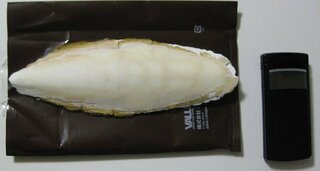 砂浜に落ちている白いのは何ですか イカ 魚 イカの体の中にある骨 Yahoo 知恵袋