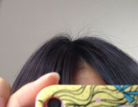 画像ありこんな酷いアホ毛どーにかしたい こんな酷いアホ毛どー Yahoo 知恵袋