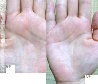 生命線って右手と左手どっちがほんとなんですか あと私の生命線 左手 は途中 Yahoo 知恵袋