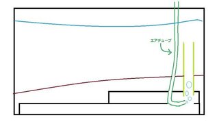 新しく立ち上げたエアリフト式底面フィルター この図の通りなのですが正常 Yahoo 知恵袋