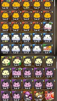 パズドラ カピバラさんコラボのリーゼントくんは タナトスのスキル上げ Yahoo 知恵袋