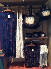 ディズニーランドに詳しい方に質問白雪姫の願いの井戸は一日中エン Yahoo 知恵袋