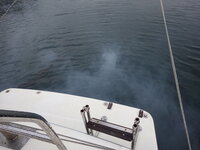 Yamahauf 33のエンジンについて教えてください 以前yamah Yahoo 知恵袋