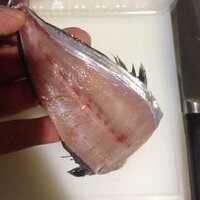 魚の三枚おろしの真ん中は 今日は秋刀魚を三枚おろしにした Yahoo 知恵袋