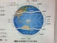 オオカナダモの呼吸とか光合成の実験で 光が強いほど光合成が盛んになり Yahoo 知恵袋