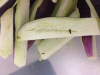 茄子の小さな粒 1ミリも無い 点のような茶色の粒は 虫の卵ですか 3本くら Yahoo 知恵袋