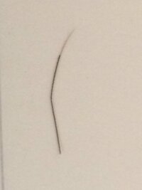 枝毛について質問です 私の髪の毛の毛先は 画像にあるようにこのような毛 Yahoo 知恵袋