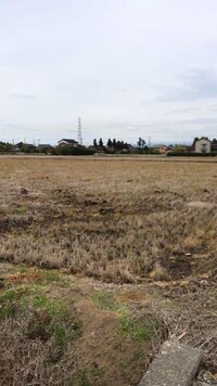 ベリーグッドマンのコンパスの英語部分を訳してください いつも通り君 Yahoo 知恵袋