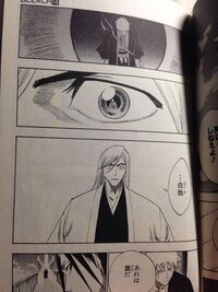 Bleach アニメ についての質問です 浮竹隊長と京楽隊長が双極を破壊した Yahoo 知恵袋