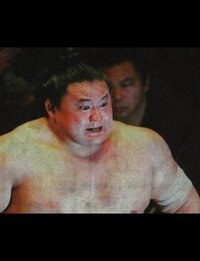力士遠藤の強さを5とした場合 大砂嵐 貴乃花 鬼の形相時 エドモンド Yahoo 知恵袋