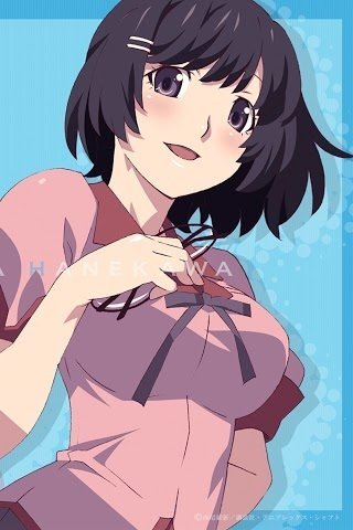 貴方は羽川翼の友達です かなり中のいい その羽川から胸 Yahoo 知恵袋