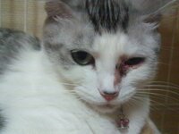 海のような広い心で という歌詞のある日本人男性が歌う歌 Yahoo 知恵袋