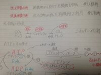 画像が貼れていなかったみたいですみません もう一度投稿します Yahoo 知恵袋