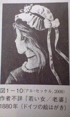 錯覚の絵が、そのようには見えなくて、困っています。画像の絵を