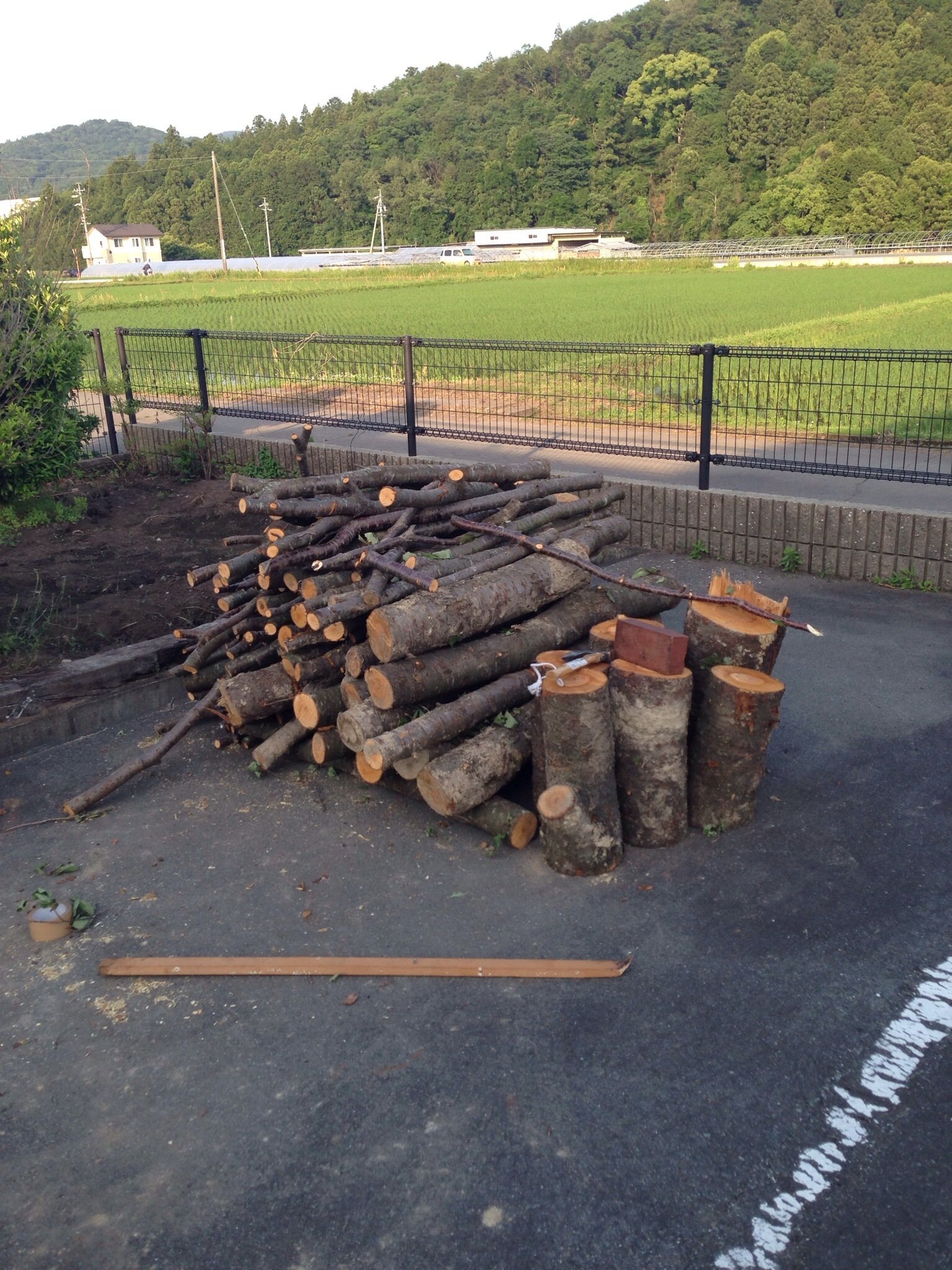 桜の木で燻製のチップを作ってみましたが。知人より伐採した山桜