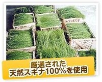 眼から鱗が落ちました スギナ利用法 土筆じゃ無くて スギ Yahoo 知恵袋