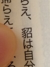 漢字の読みかた教えてください てん です イタチみた Yahoo 知恵袋