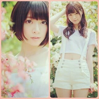乃木坂の西野七瀬が橋本奈々未みたいにショートにしたら可愛いと思いますか Yahoo 知恵袋