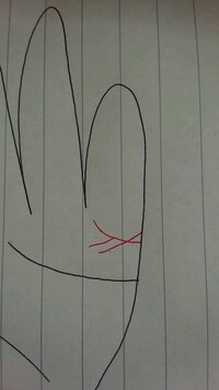 結婚線についてです ひさしぶりに ふと自分の結婚線に目をやると複雑な形 Yahoo 知恵袋