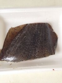 ヒラメは塩焼きとか唐揚げなどには適さないのでしょうか 高級魚でも Yahoo 知恵袋