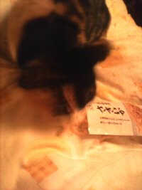 バラバラ殺人事件の犯人を見つけきれない博多署が有る福岡に 移住したいで Yahoo 知恵袋