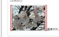 Htmlやcssでボタンの中に画像を入れた場合 添付画像の赤 Yahoo 知恵袋