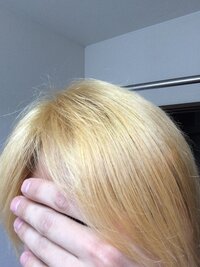 今日 Rexyのプラチナロゼを使って赤にしたいのですが 評価 Yahoo 知恵袋