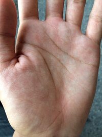 手相について左手の生命線の終わりすぐ隣にバツ印があります 添付画像の矢印 Yahoo 知恵袋