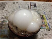 ドライアイスの実験について ドライアイスをコーヒーのなか Yahoo 知恵袋