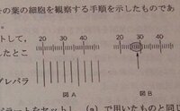 生物基礎の 対物 接眼ミクロメーターについての質問です オ Yahoo 知恵袋