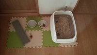 猫のトイレと食事場所は離したほうがいいと聞きますが 並んでいては猫にと Yahoo 知恵袋