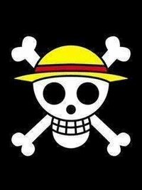 ルフィの海賊旗と麦わらの一味の海賊旗って同じですか ルフィが自分 Yahoo 知恵袋