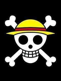 ルフィの海賊旗と麦わらの一味の海賊旗って同じですか ルフィが自分 Yahoo 知恵袋