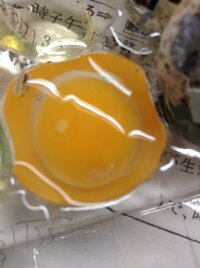 うずらの卵を買って孵化させようと思って 卵を買ってみたん Yahoo 知恵袋