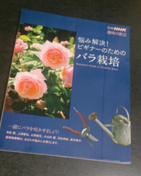 家のコンクリートとレンガの隙間からバラのような植物が生えてまし Yahoo 知恵袋