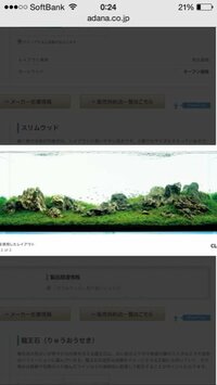 水草水槽を立ち上げます 竜王石を使うつもりなんですが硬 Yahoo 知恵袋