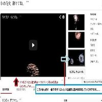 Youtubeサムネイル表示が選択のと違う 初めてyoutu Yahoo 知恵袋