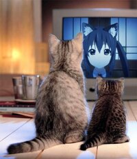 アニメの世界に入れるならどのアニメに入りたいですか 間 Yahoo 知恵袋