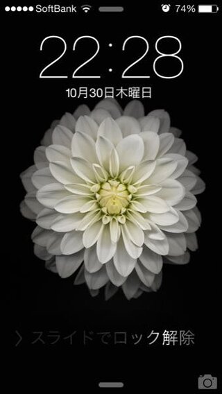 25 Iphone 壁紙 花 最高の画像壁紙日本afhd