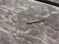 最近 黒い細長い虫が大発生しています 建物の外壁に 張り付いてます この画像の 教えて 住まいの先生 Yahoo 不動産