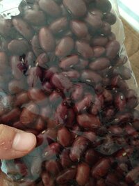 この豆はなんと言う豆ですか １センチくらいの縦長で 赤茶色で Yahoo 知恵袋