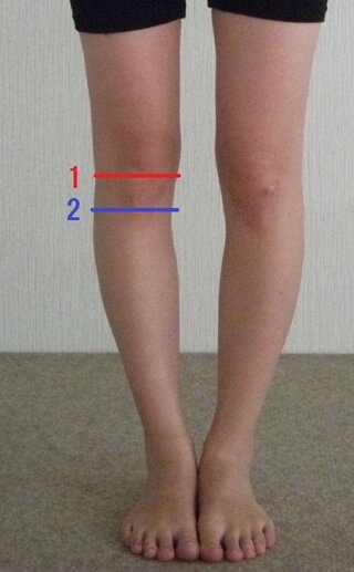 印刷可能 膝下 長さ 平均 膝下 長さ 平均 男性