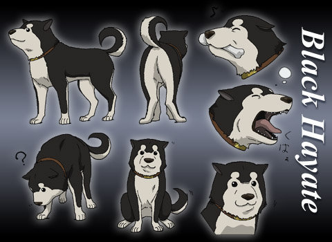 鋼の錬金術師ブラックハヤテ号ですが、犬種は何だと思いますか